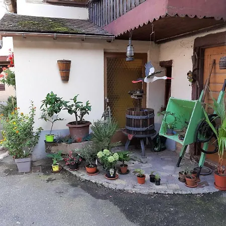 Du Florimont Centre Alsace Route Des Vins *